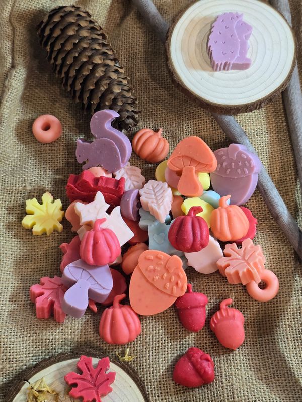 Wax Melts Otoñales 'Bosque Encantado' - Pack Edición Limitada
