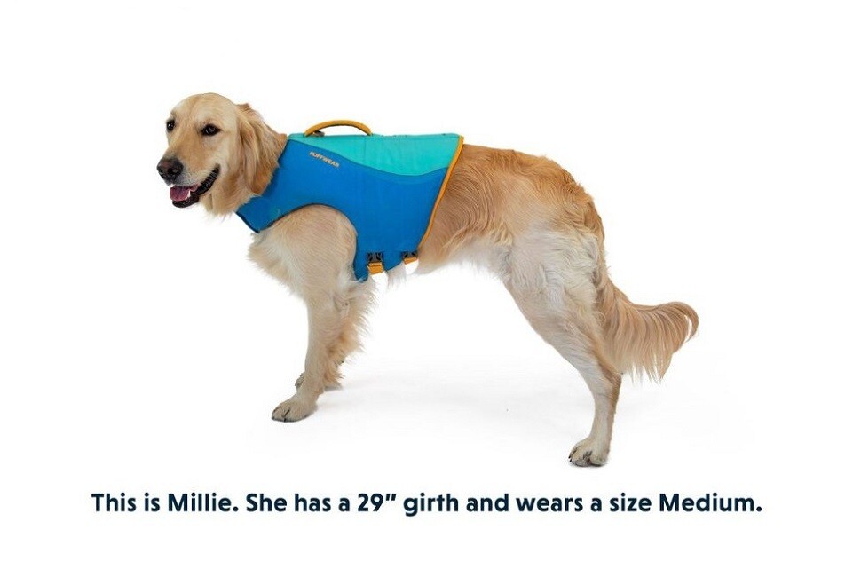 Ruffwear k9 sale