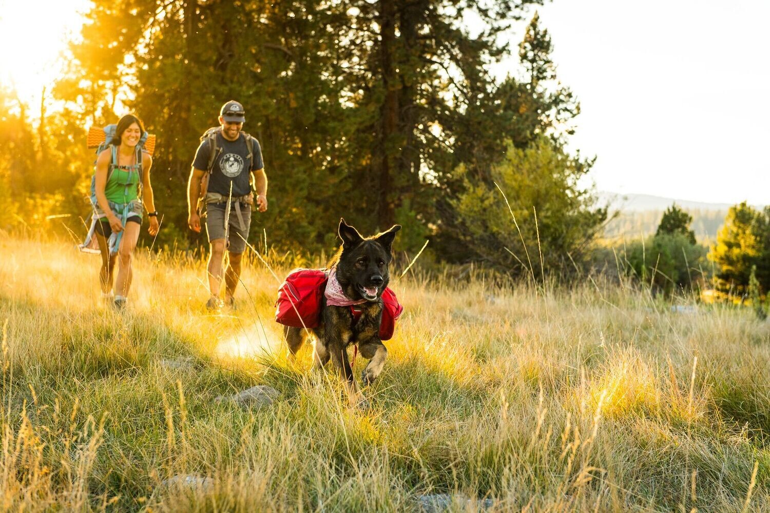 РЮКЗАК ДЛЯ СОБАК RUFFWEAR® PALISADES PACK™