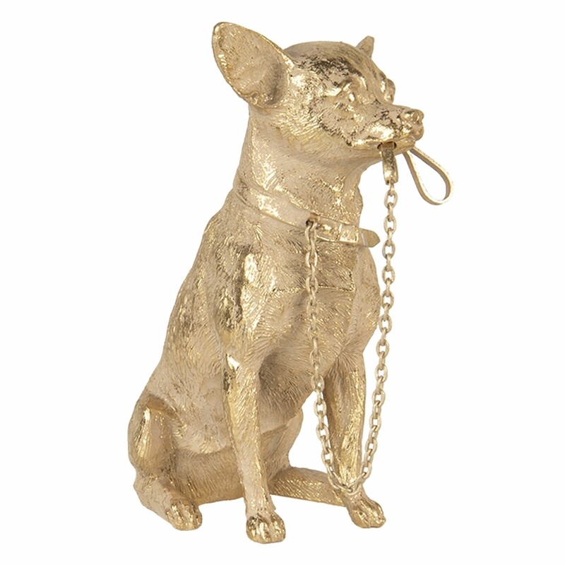 Chihuahua met riem goud 