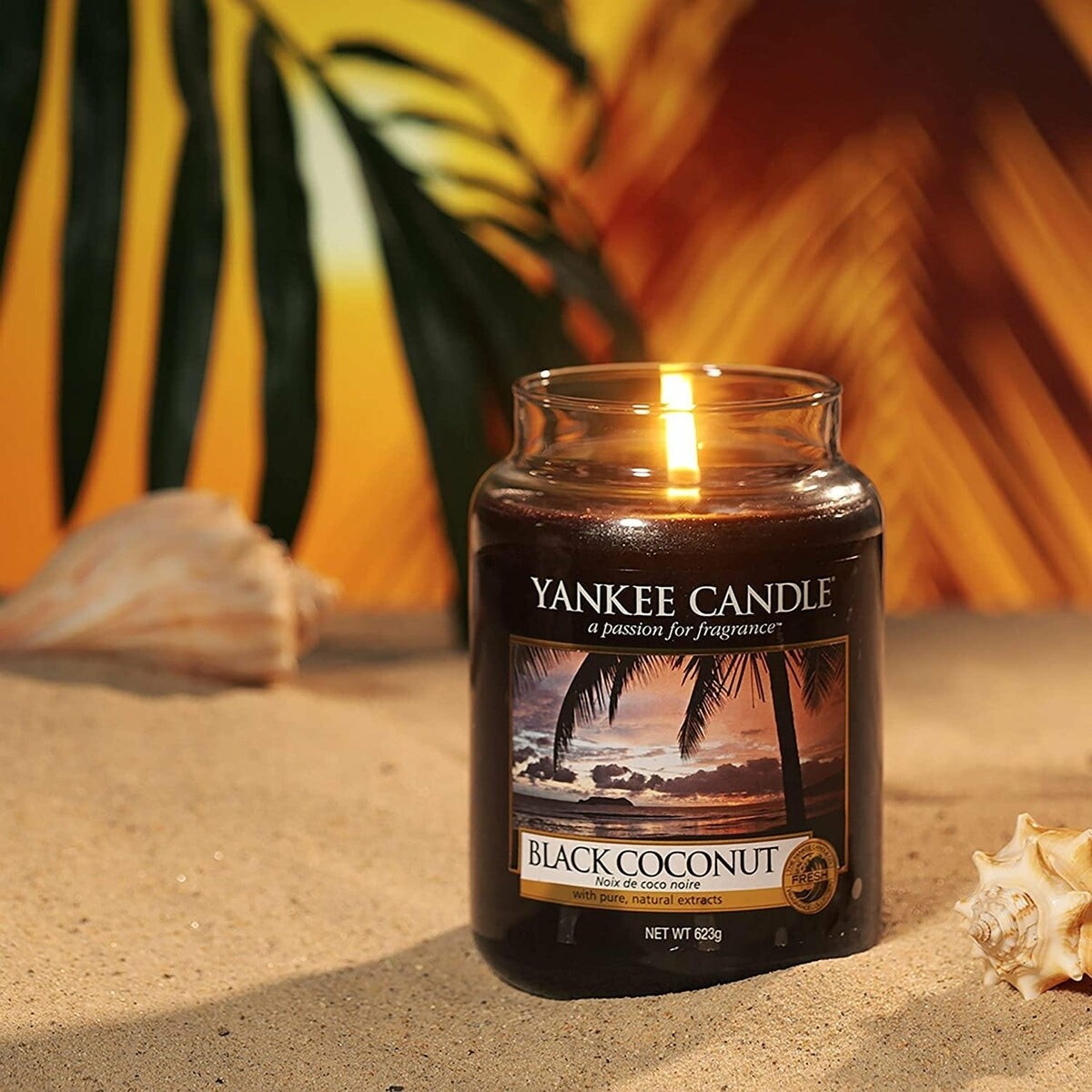Yankee candle black coconut deals