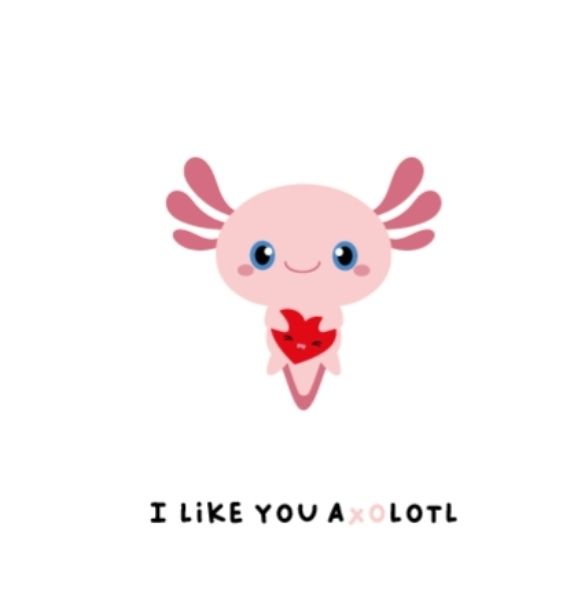 I like you axilotl
