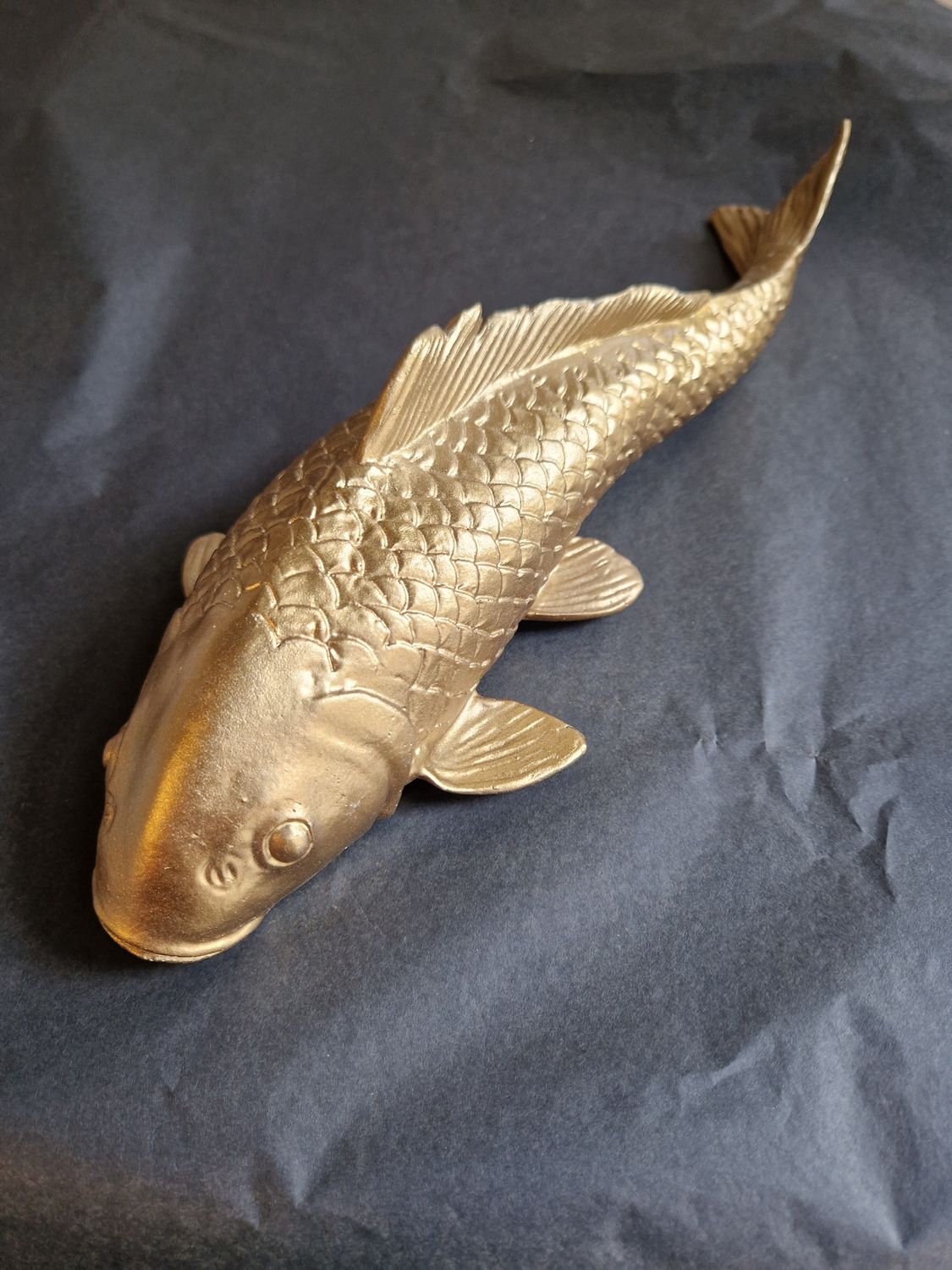 Karper goud 33cm