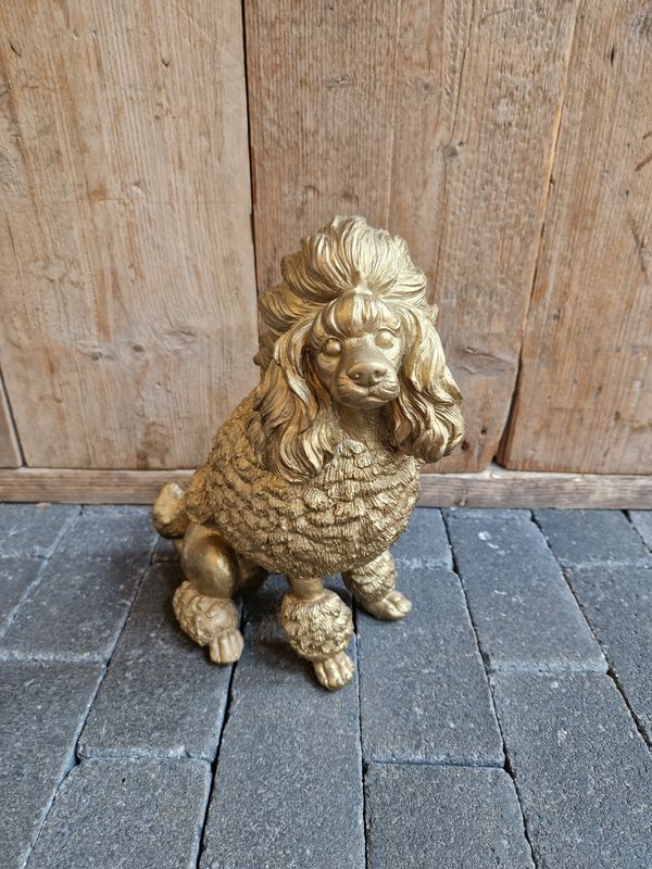 Poedel goud 25cm