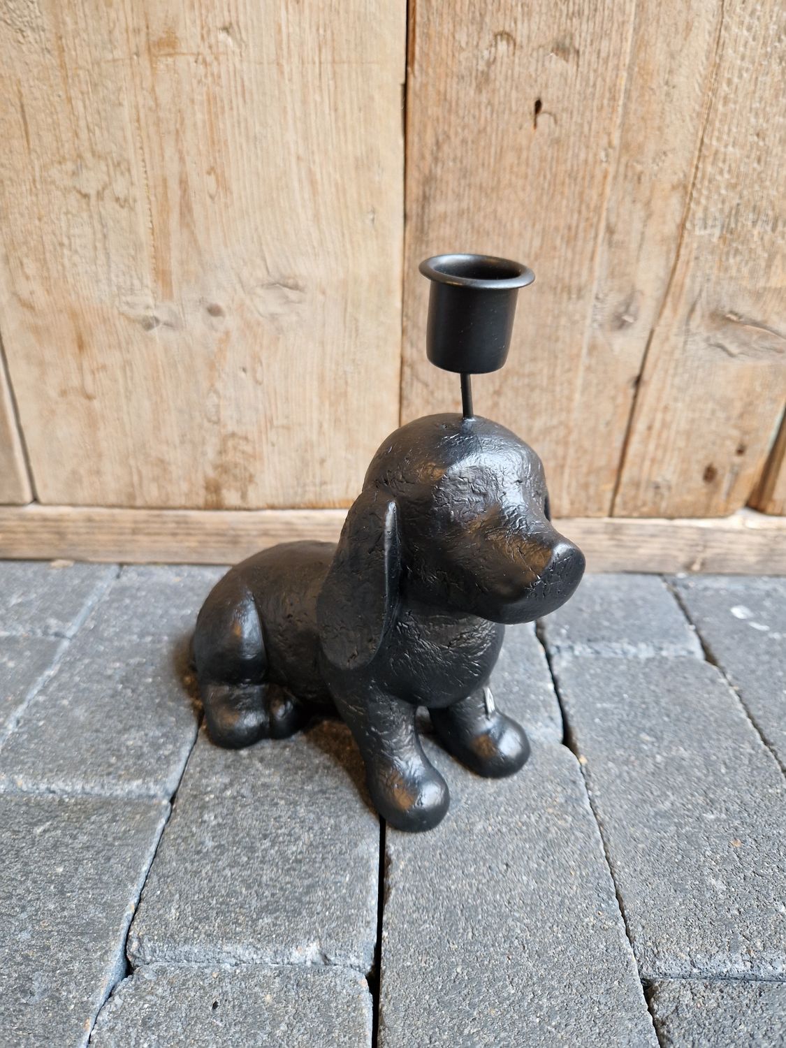 Kandelaar hond zwart