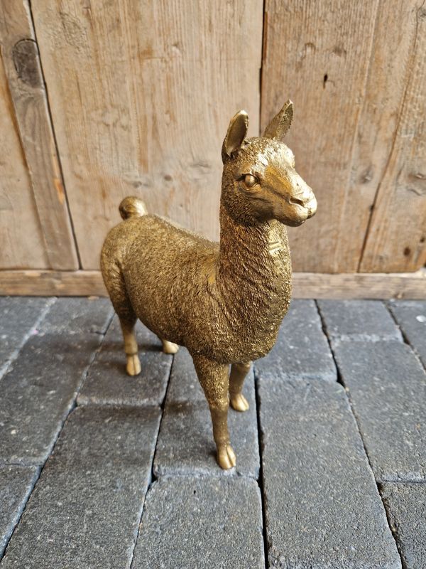 Lama goud 22cm