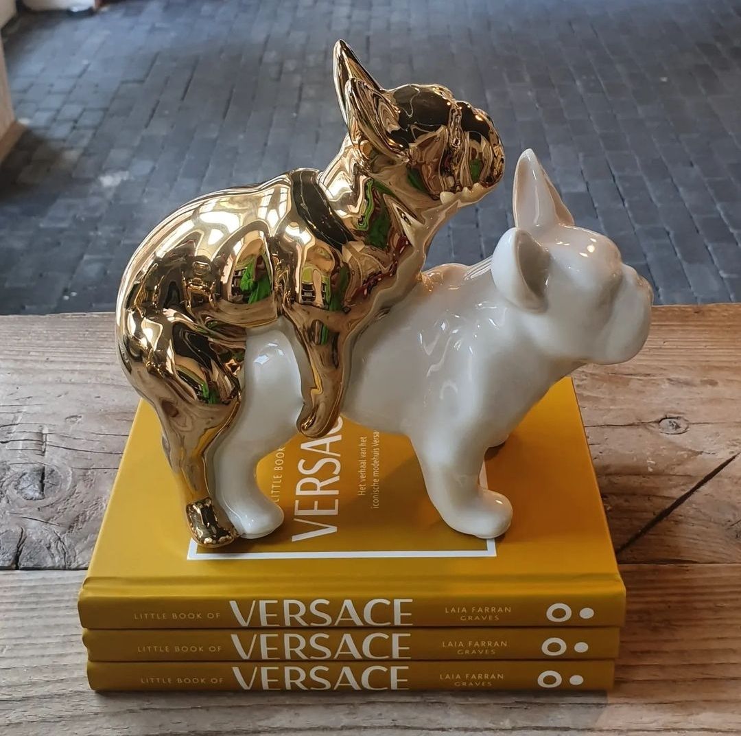 Doggystyle Franse Buldogs