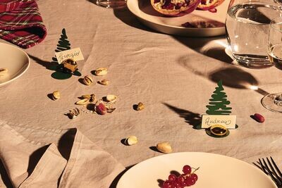 ALESSI 'bark for christmas' set/2 metalen naam- of fotohouders groen met vergulde magneet