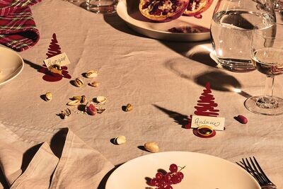 ALESSI 'bark for christmas' set/2 naam- of fotohouders rood met vergulde magneet