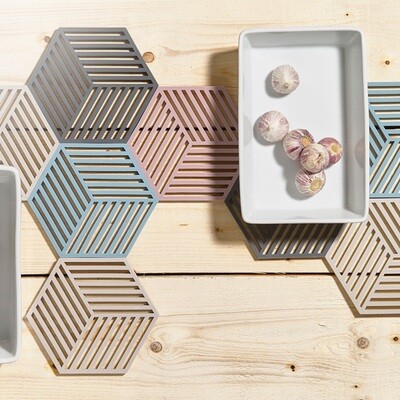 ZONE DENMARK 'hexagon' silicone potonderzetter cactus