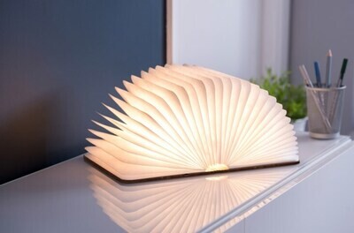 GINGKO mini smart booklight 12x8cm brown leather