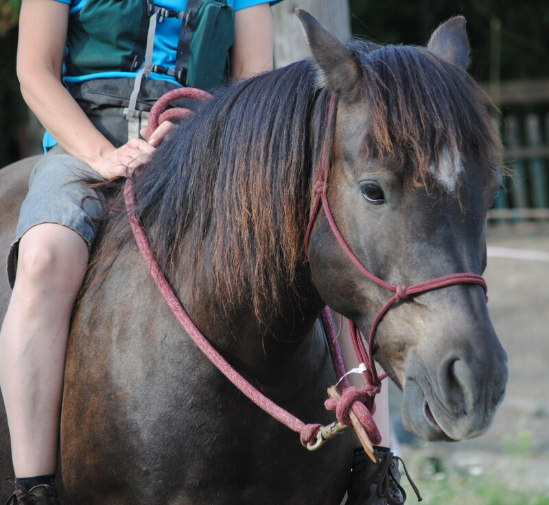 Sugar (Reservierung)