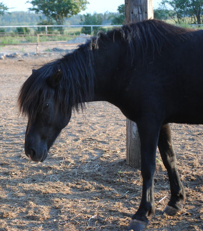 Confidence (Reservierung)