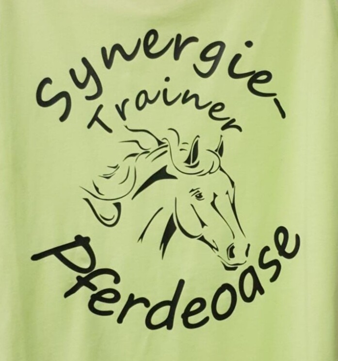 Synergie Trainer Ausbildung