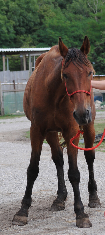 Kentucky (Reservierung)