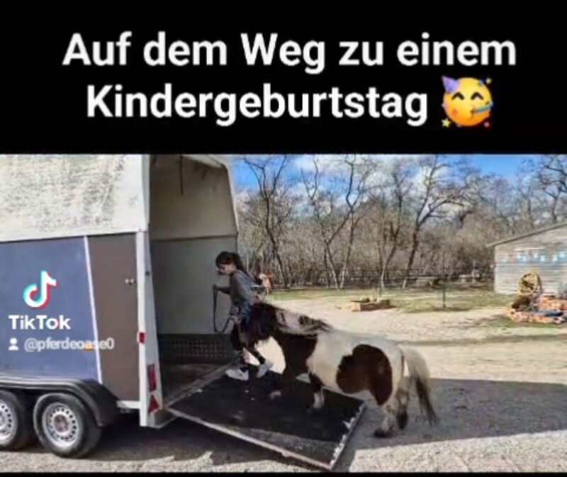 Geburtstagsparty  Auswärts buchen
