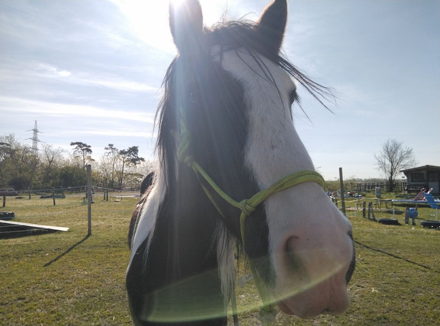 Amadeus (Reservierung)