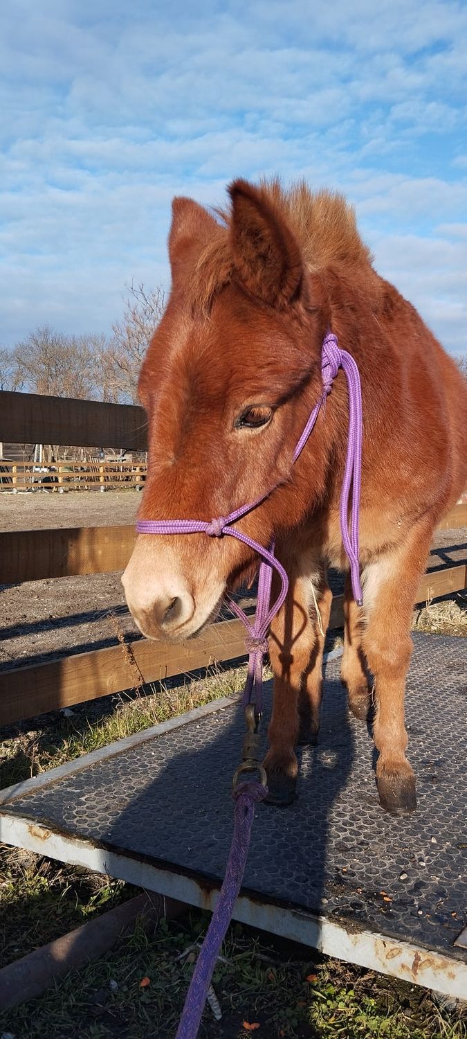 Mokka Reservierung Mokka Reservierung