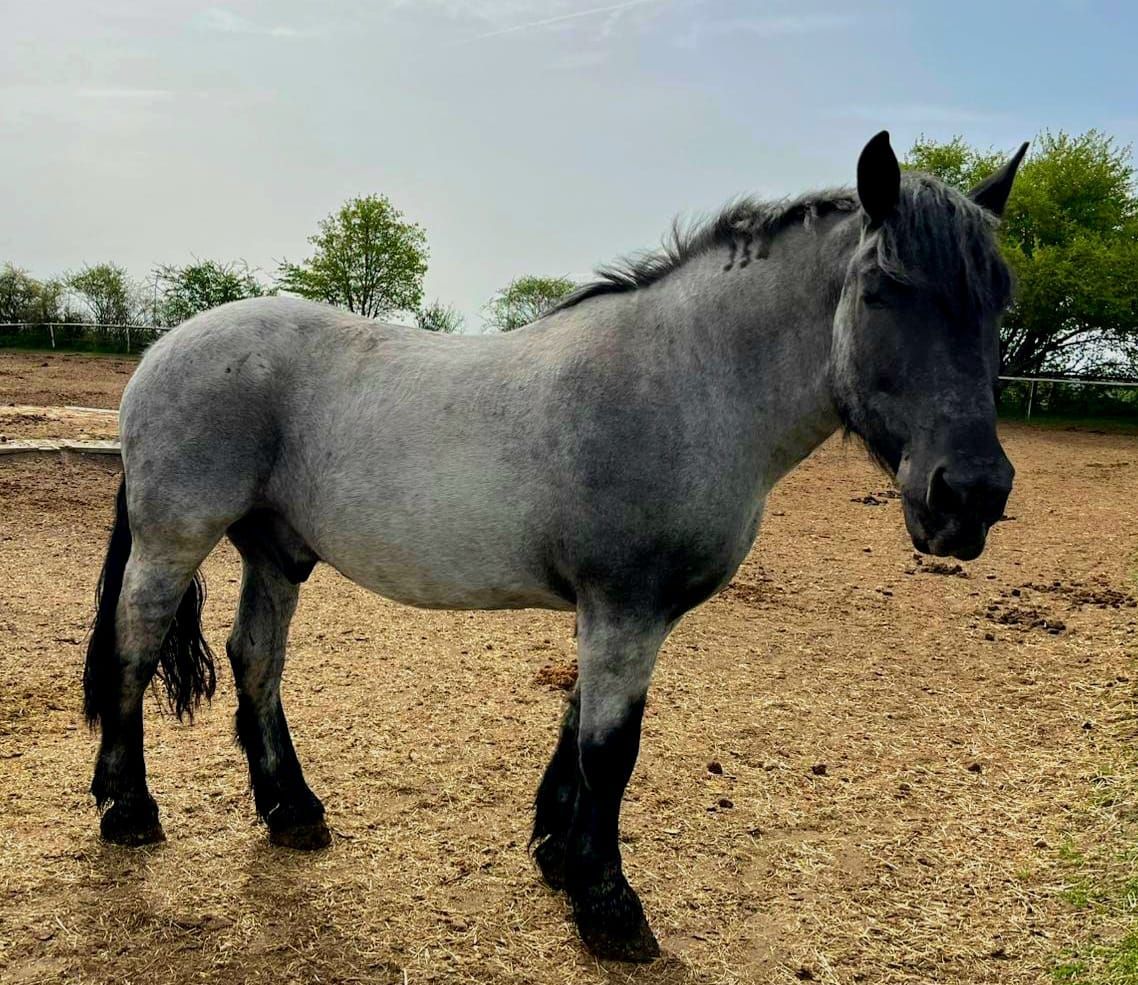 Stoffel Reservierung