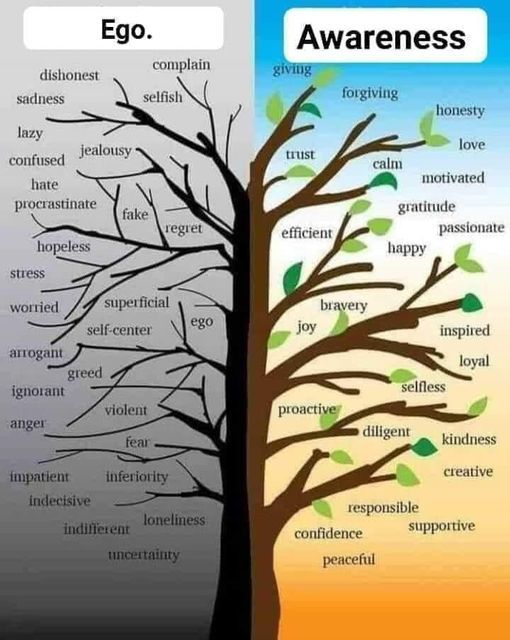 Trainerwochen Buchung
