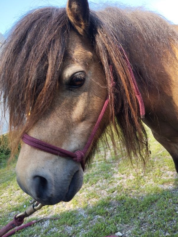 Fashion Reservierung