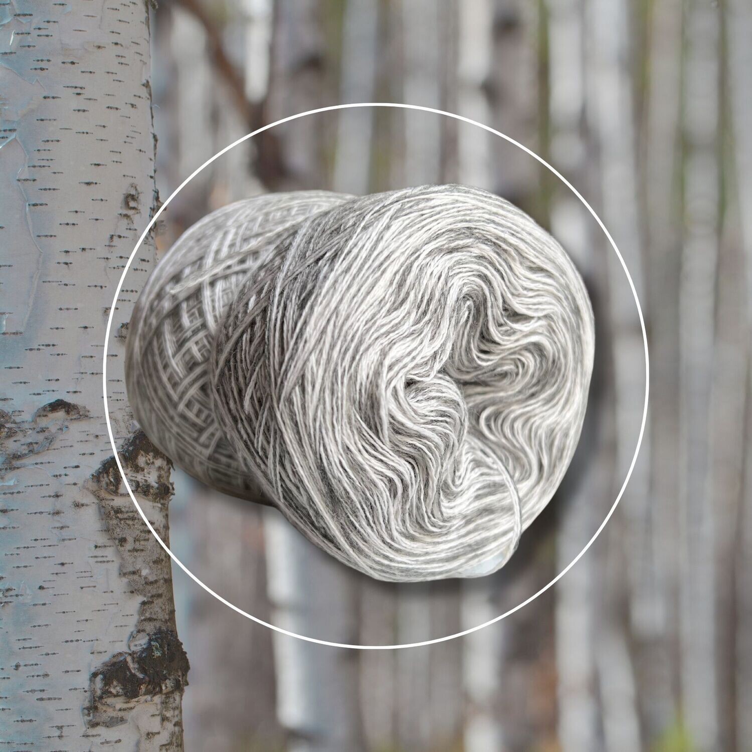Woolpedia Colors Birke organic designer yarn (Merino extra fine)