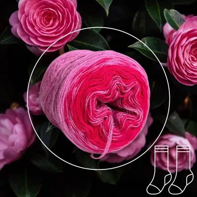 Woolpedia Socks Pfingstrose - modal gradient sock yarn