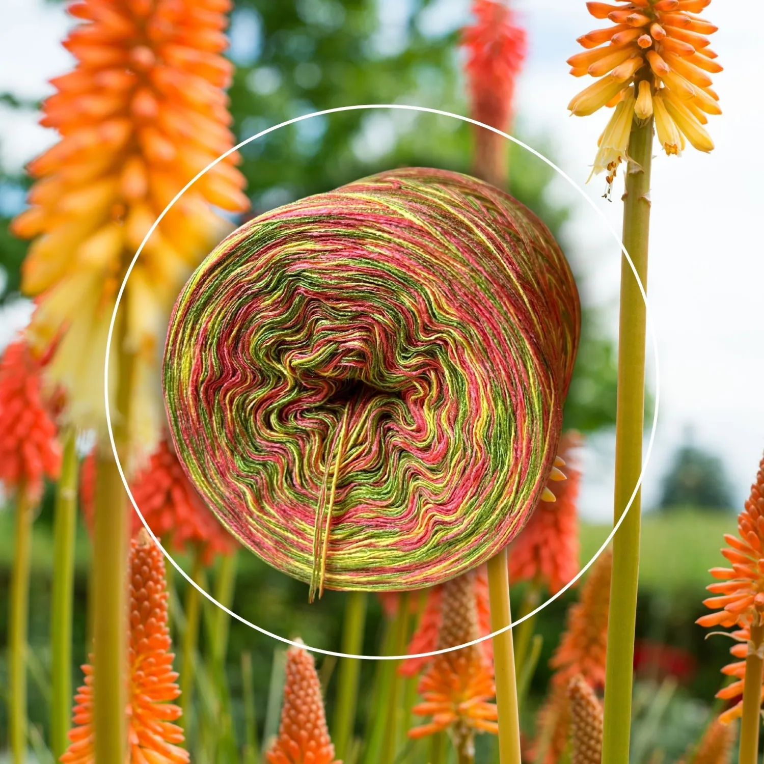 Woolpedia Colors Emberglow gradient yarncake (cotton-mix)