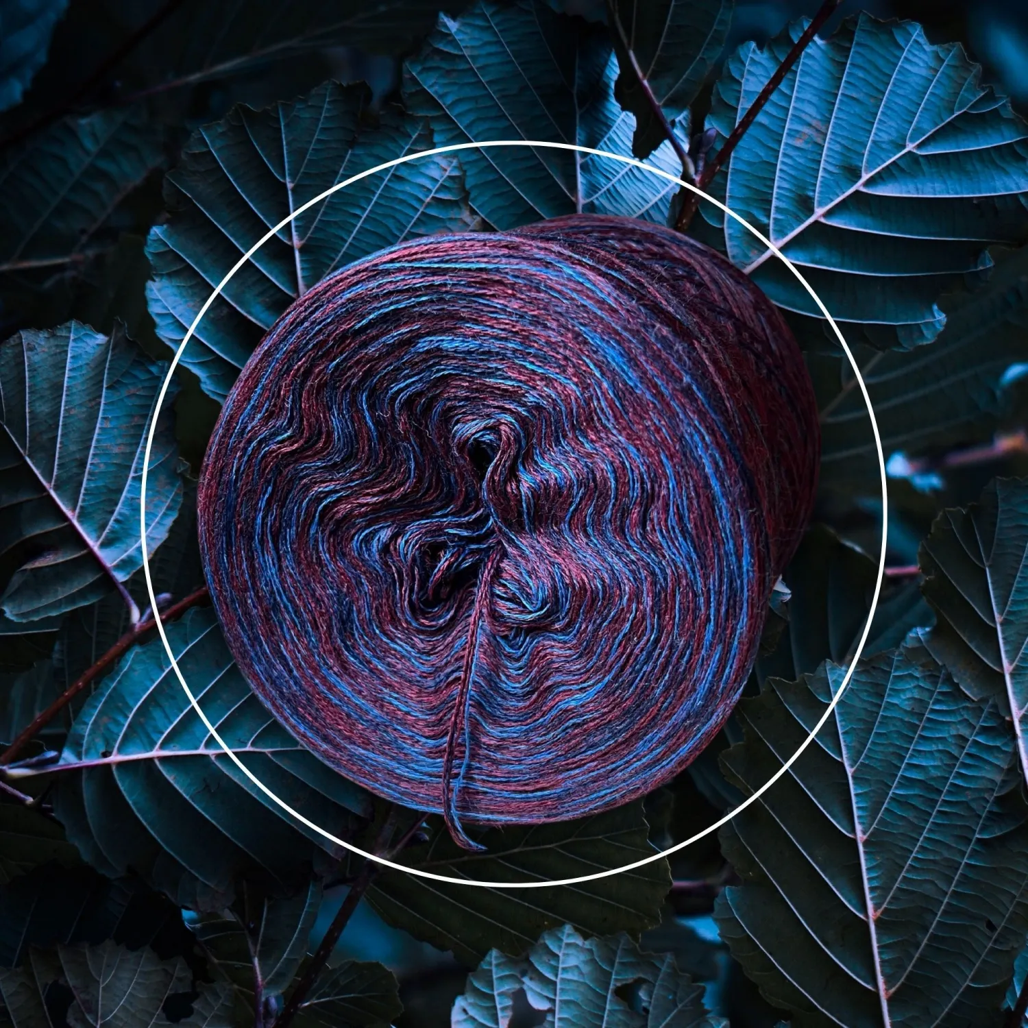 Woolpedia Colors Bluetiful organic designer yarn (Merino extra fine)