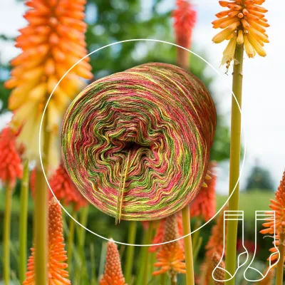 Woolpedia Socks Emberglow - modal designer sock yarn
