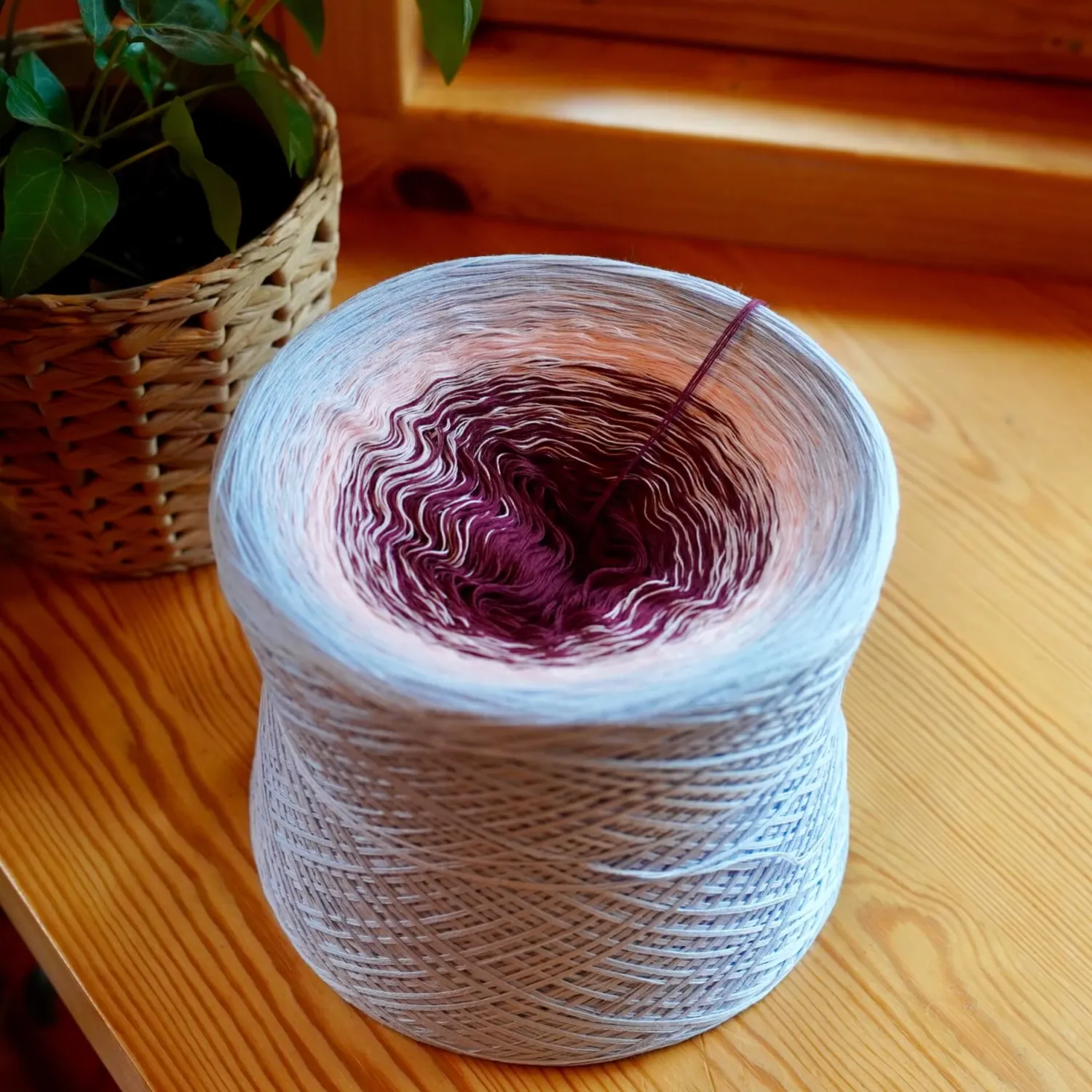 Woolpedia Colors Pfirsichblüte gradient yarncake (cotton-mix)