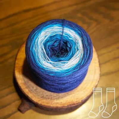 Woolpedia Socks Poseidons Garten - modal gradient sock yarn