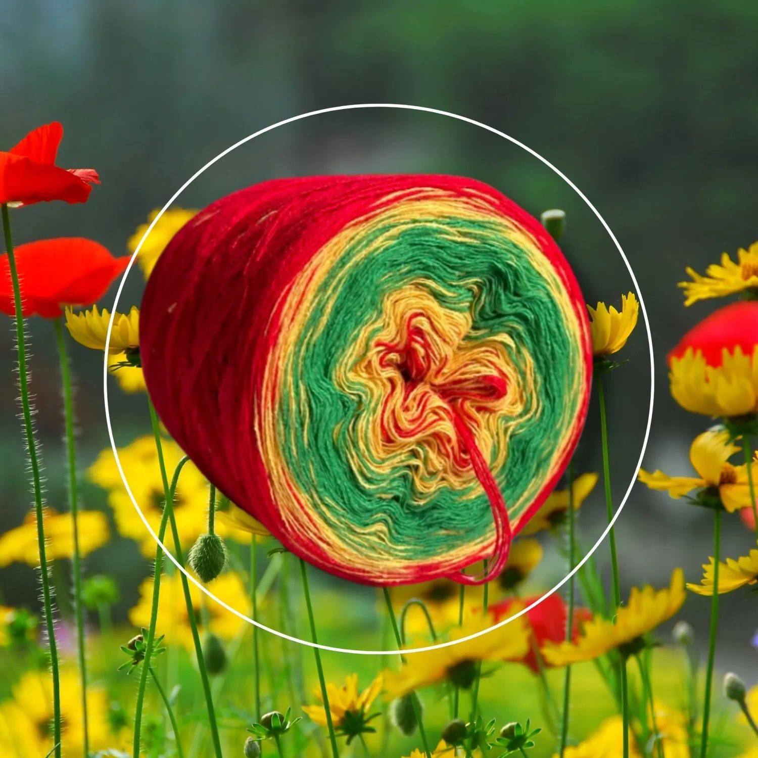 Woolpedia Colors Sommergarten gradient yarncake (modal)