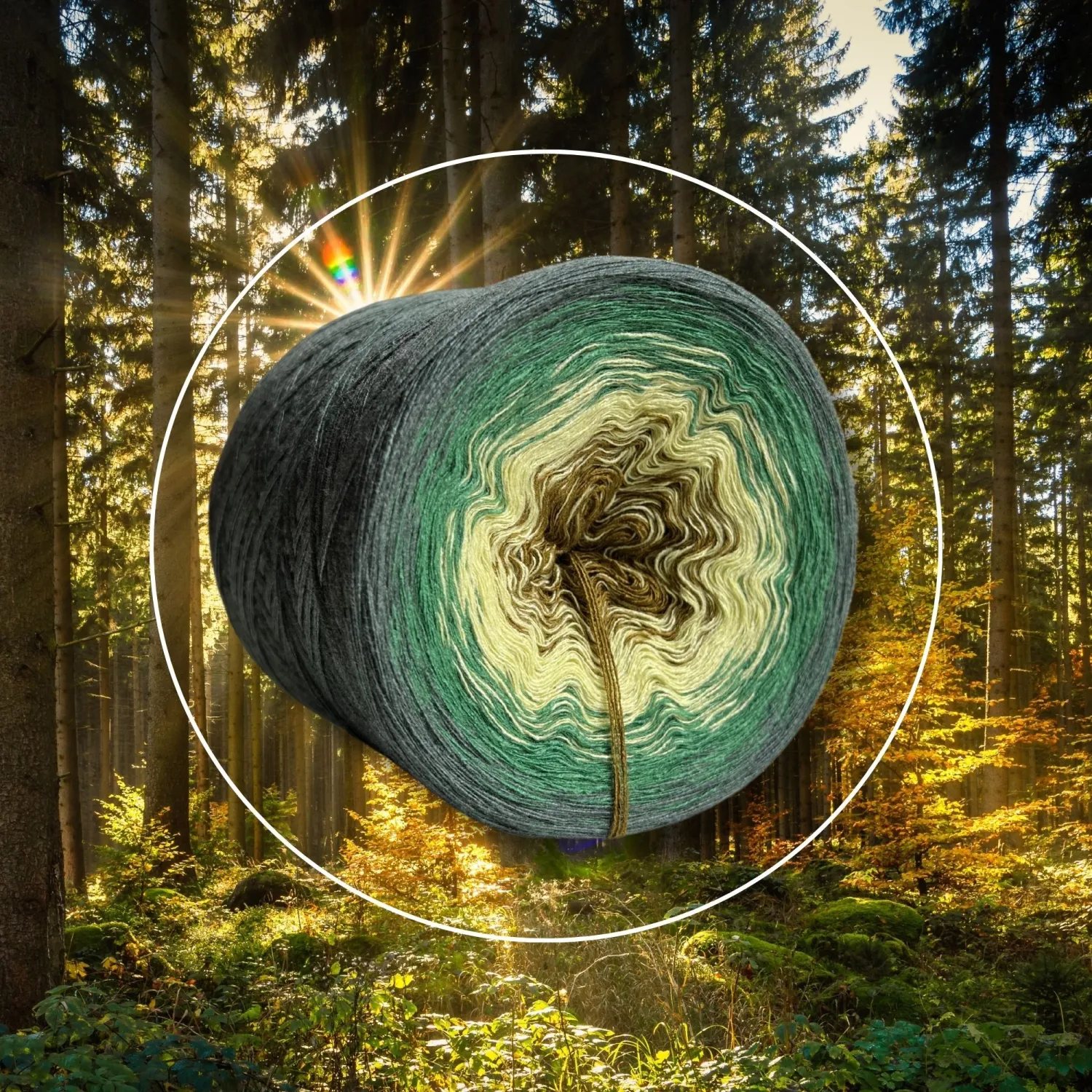 Woolpedia Colors Forest gradient yarncake (modal)
