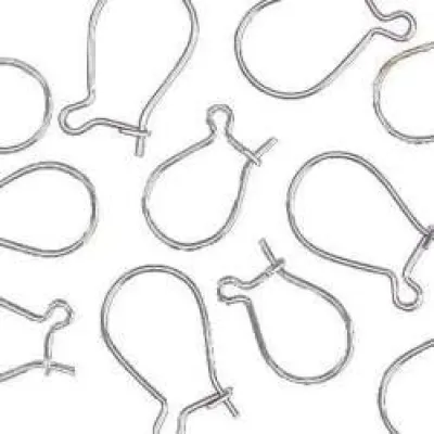 Gütermann earhooks 10 pieces