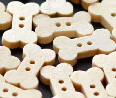 Wooden button - bone #9