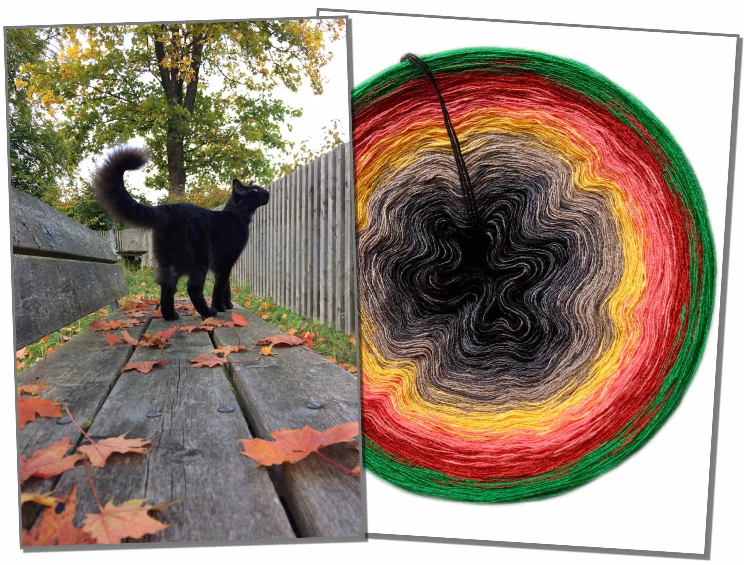 Woolpedia Photo Colors gradient yarncake (modal)