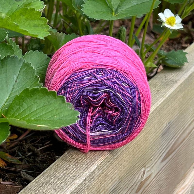 Woolpedia Colors Beerenzauber gradient yarncake (modal)