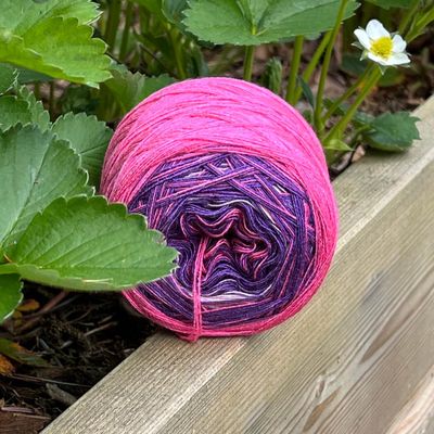 Woolpedia Colors Beerenzauber gradient yarncake (modal)