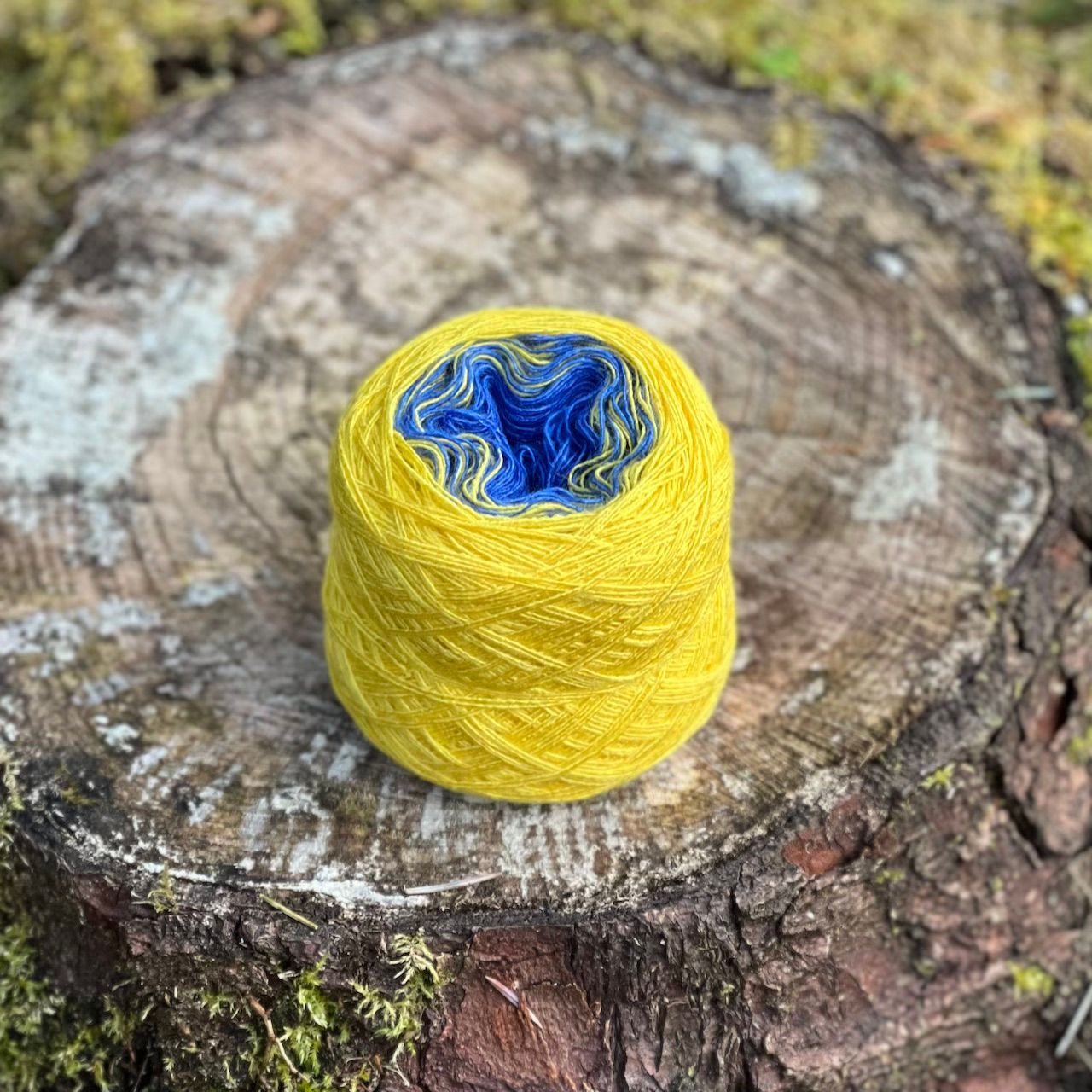 Woolpedia Embroidery yarn Morning Light - 2ply modal gradient yarncake