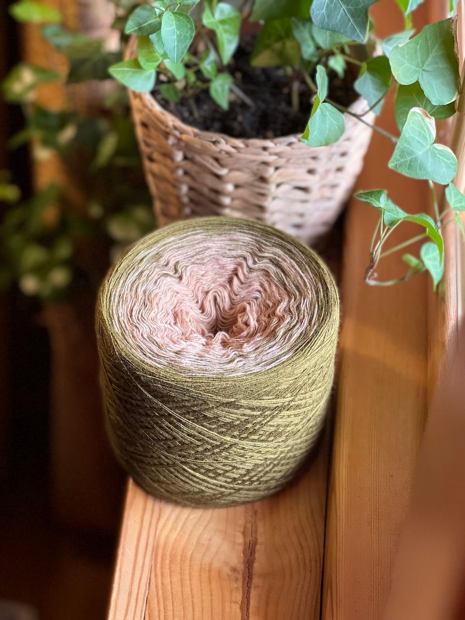 Woolpedia Colors Woodland 2 gradient yarncake (modal)