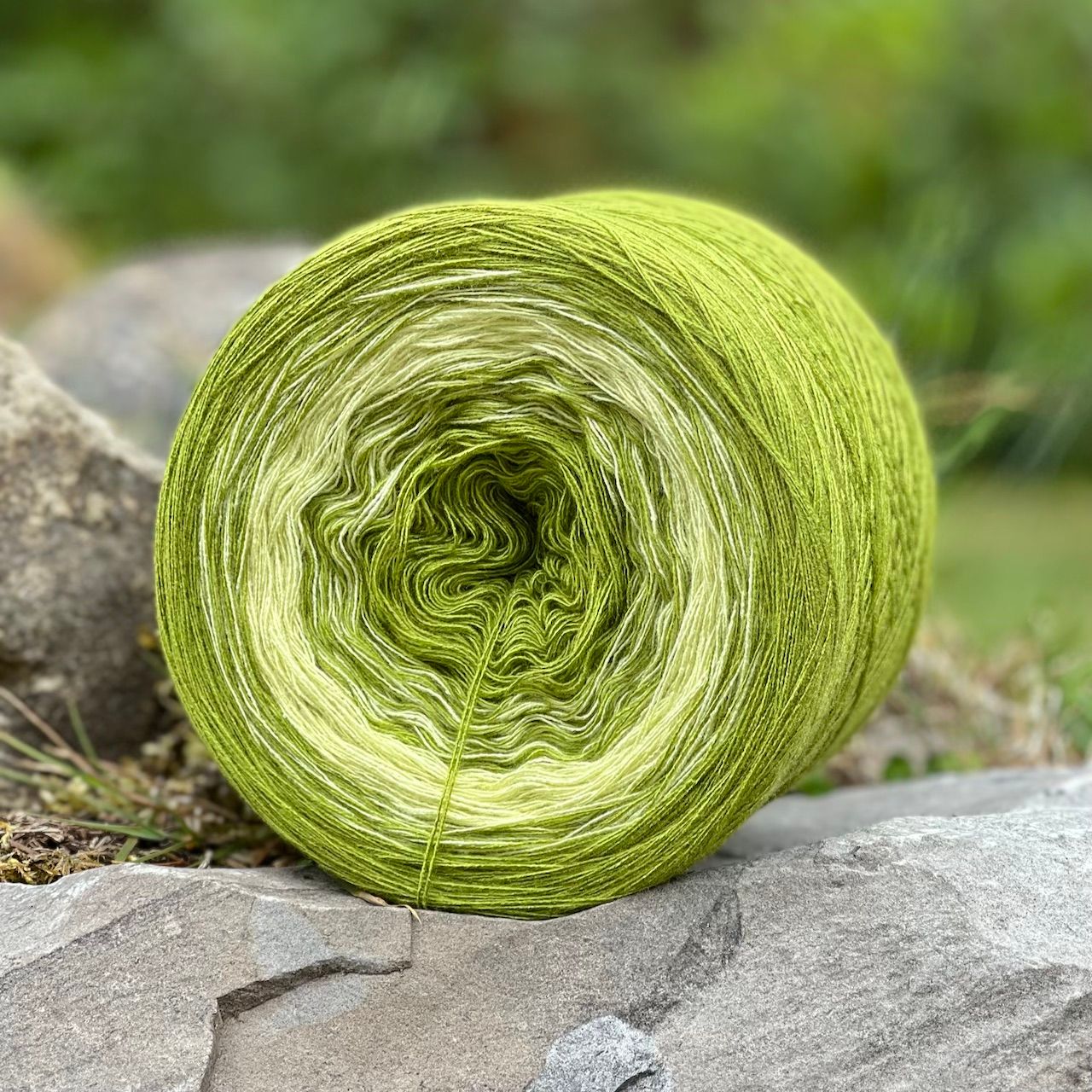 Woolpedia Colors Zyklus gradient yarncake (modal)