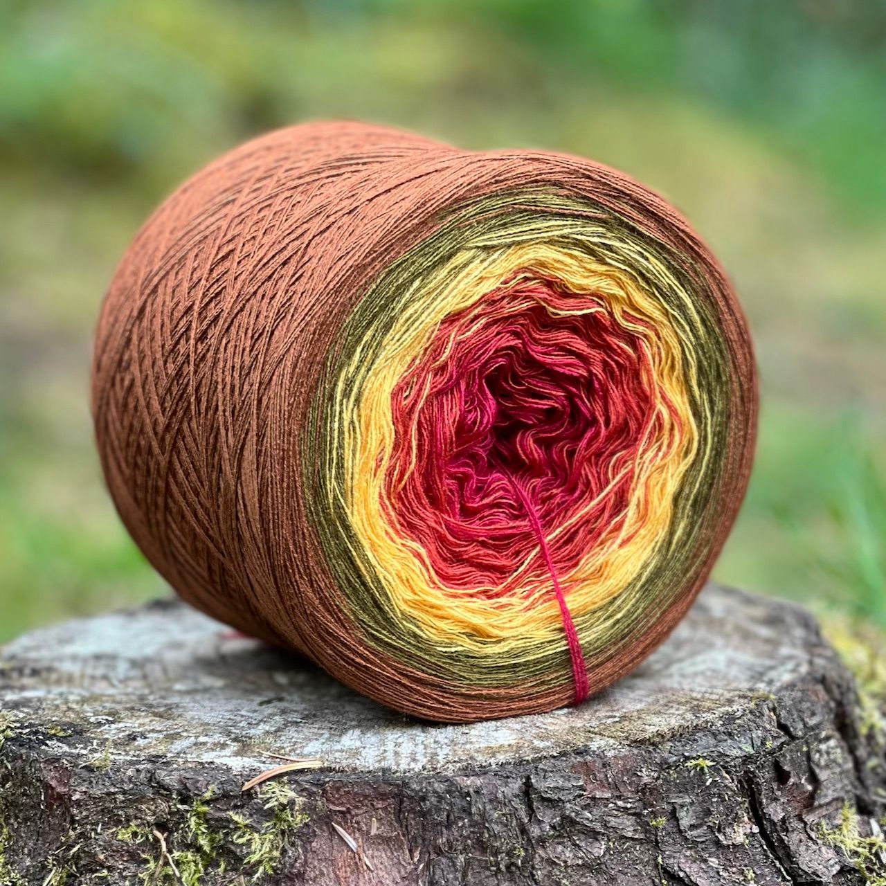 Woolpedia Colors Spicy gradient yarncake (modal)