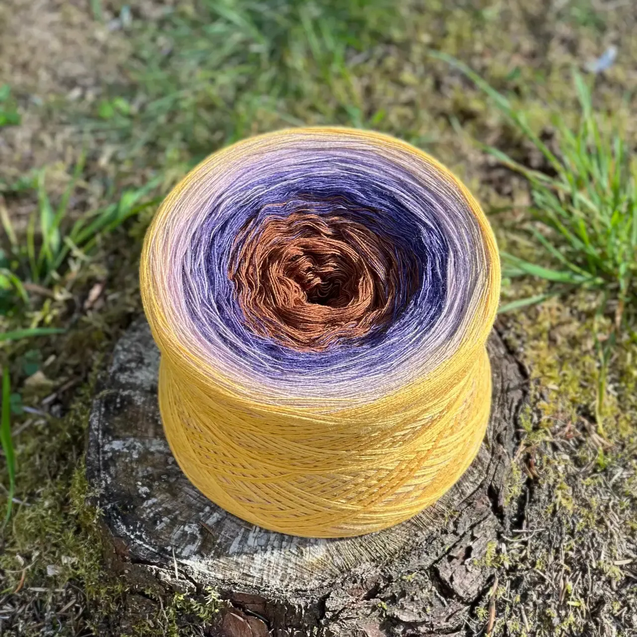 Woolpedia Colors Stiefmütterchen gradient yarncake (modal)
