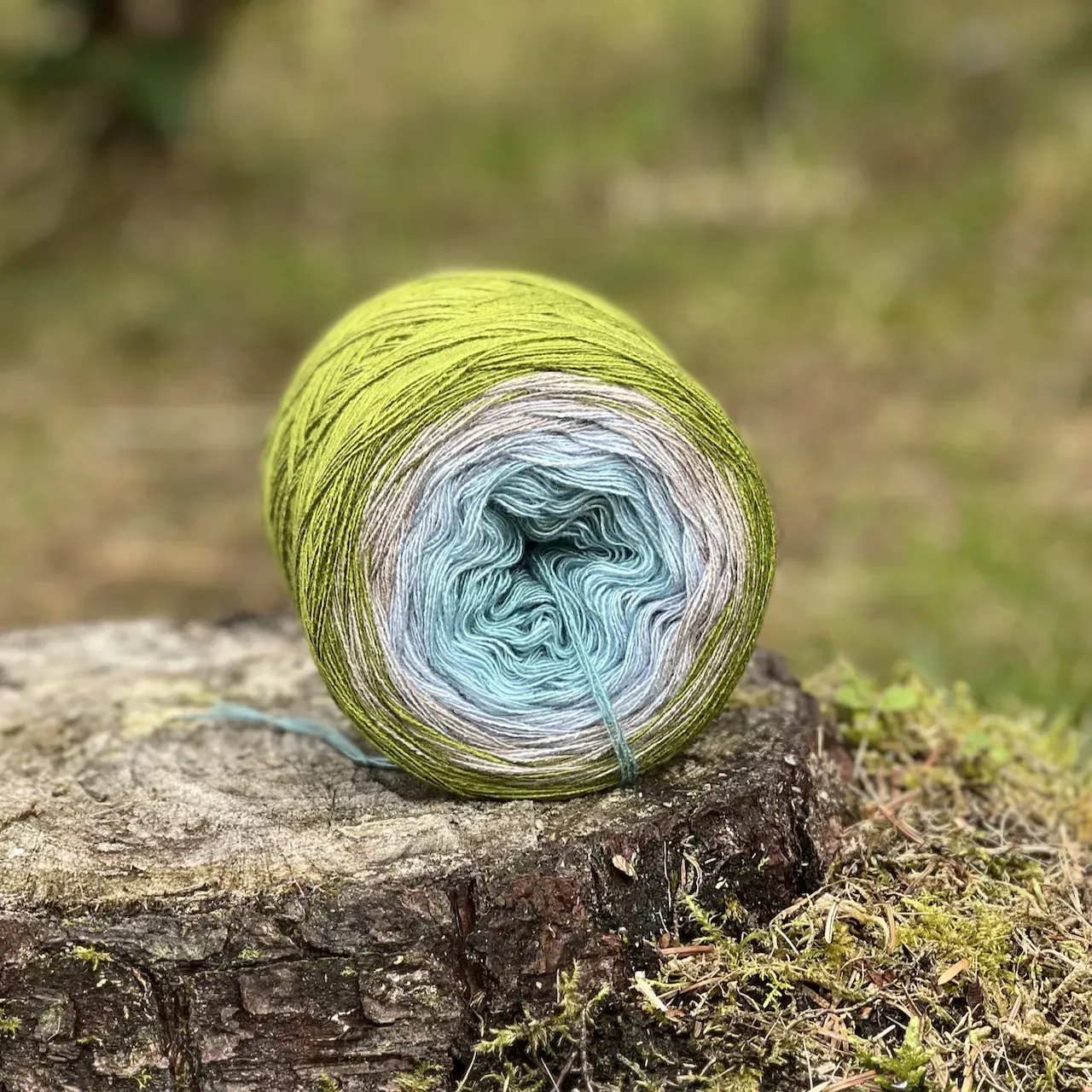 Woolpedia Colors Silberfarn gradient yarncake (modal)