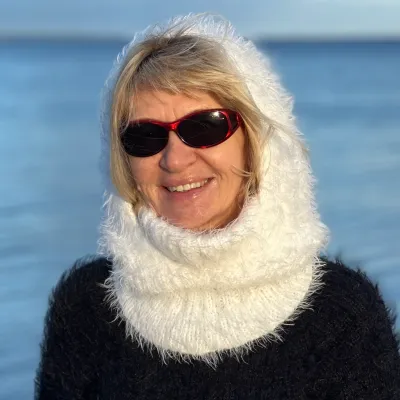 Scoodie with fraudster