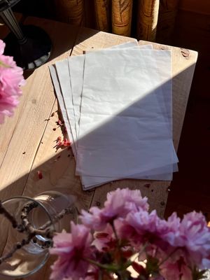10x Double Sided Iron-On Adhesive Sheets, A4 Heavy Duty Press-On Patch, Hot Melt Permanent Fusible Fabric Film