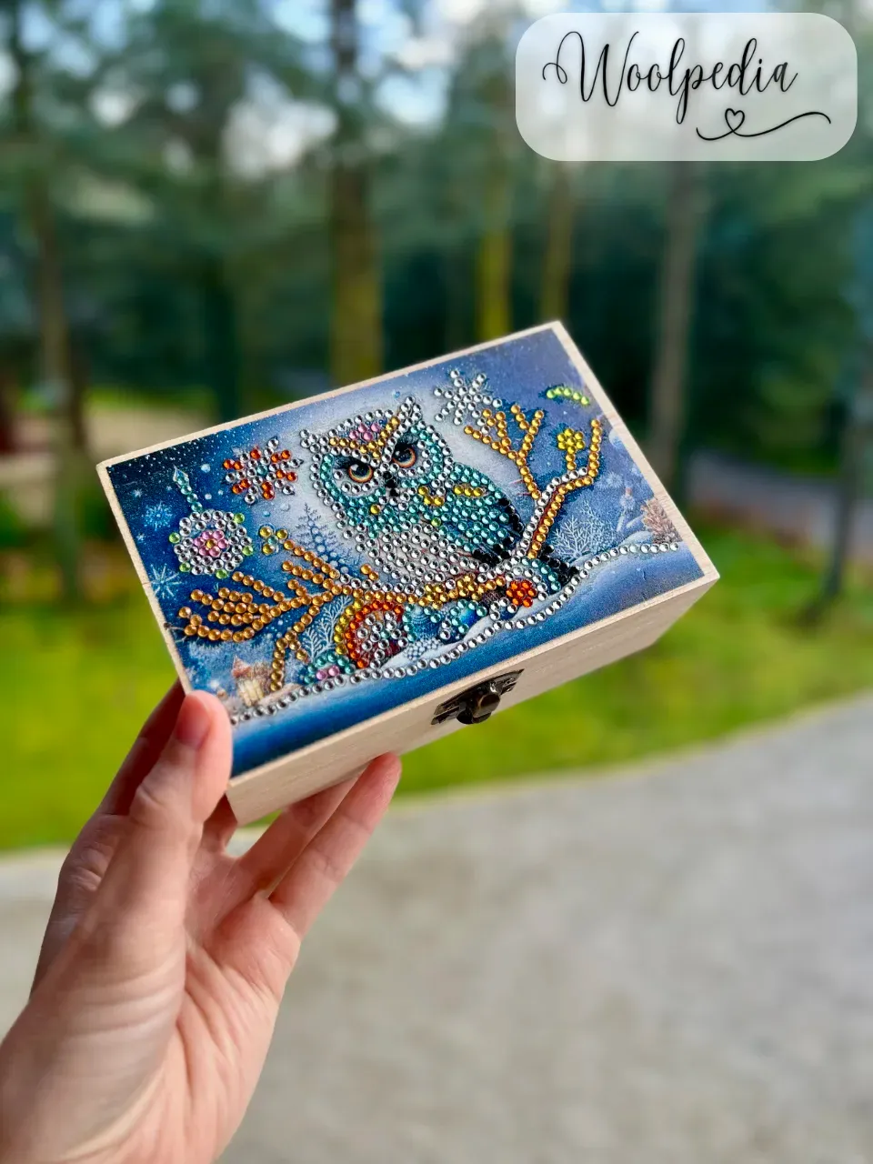 "Winter Snowy Owl" Diamond Painting Wooden Box Set