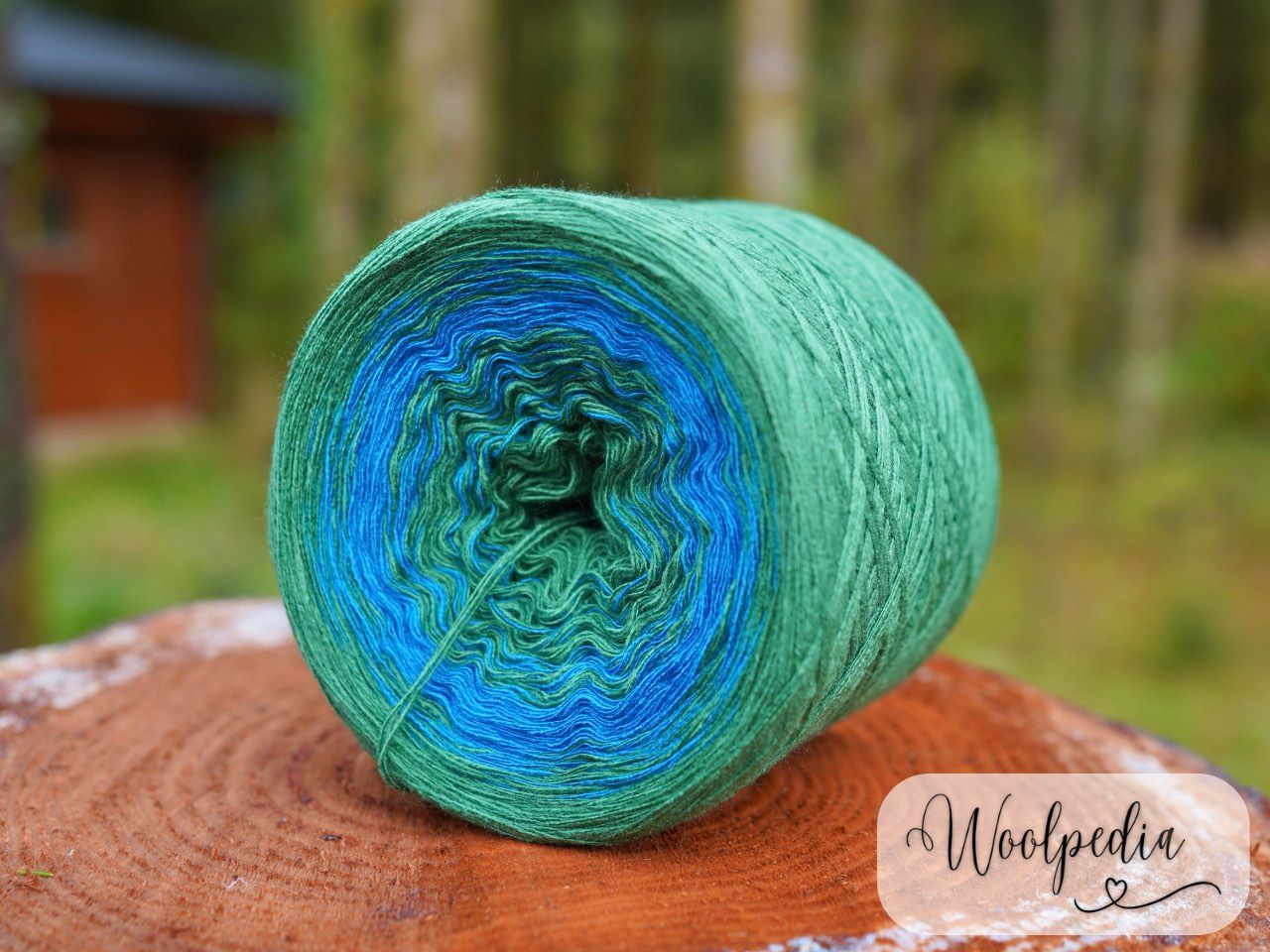 Woolpedia Colors Blue Forest gradient yarncake (modal)