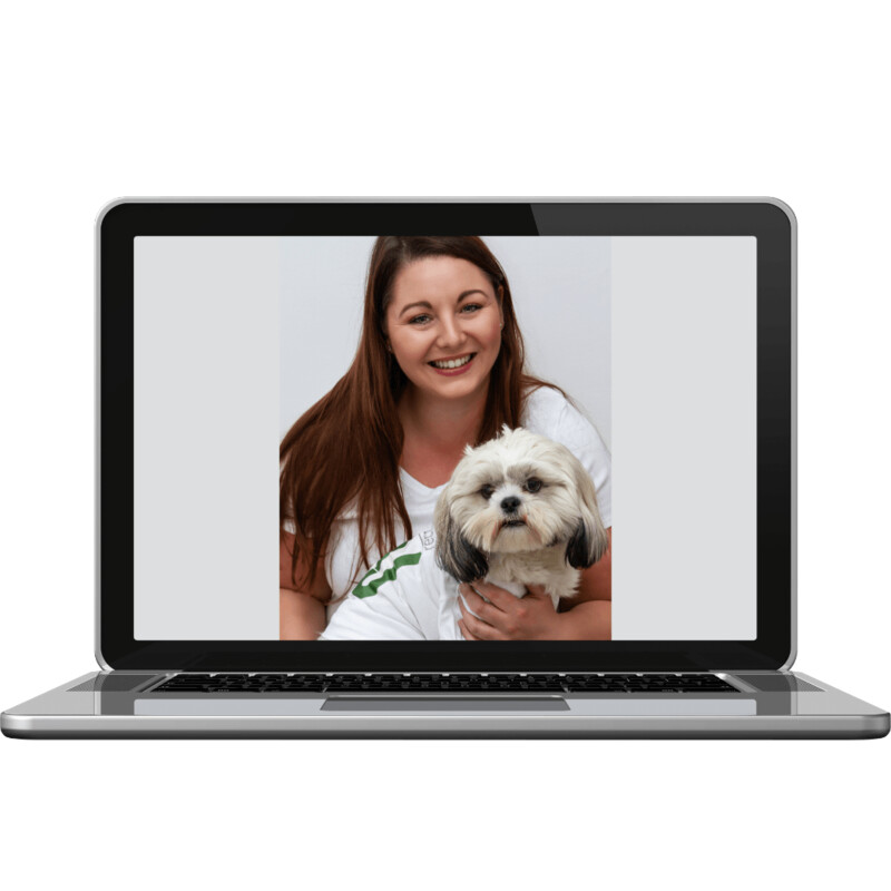 Recreate-U's Tutoring Package five sessions + a free introductory lesson